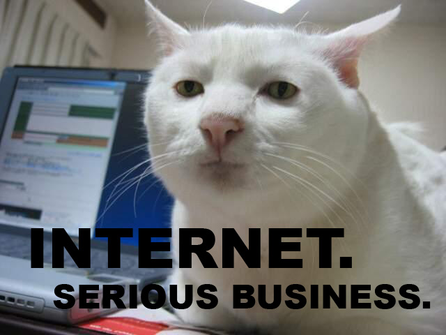image: The-Internet-is-Serious-Business