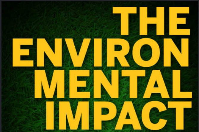 The Environmental Impact of Cell Phones