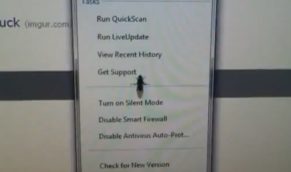 Fly on a Touchscreen